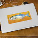 Bluefish Saltwater Fish Art Vinyl Sticker