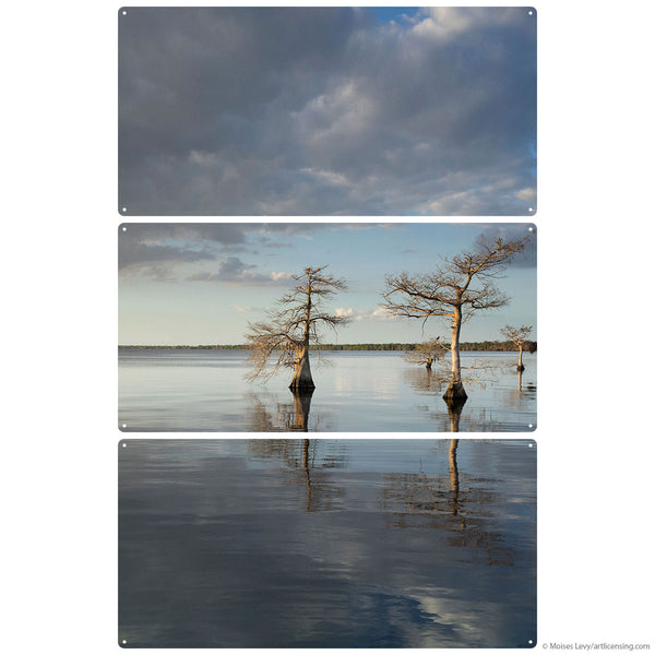 Trees at Lake Cloudy Sky Color Large Metal Signs
