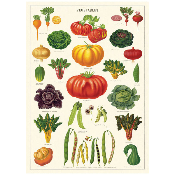 Vegetable Garden Chart Vintage Style Poster