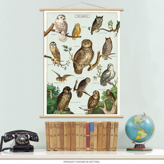 Owl Chart Vintage Style Poster