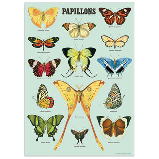Butterflies Papillons French Vintage Style Poster