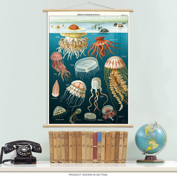 Jellyfish Oceanography Vintage Style Poster