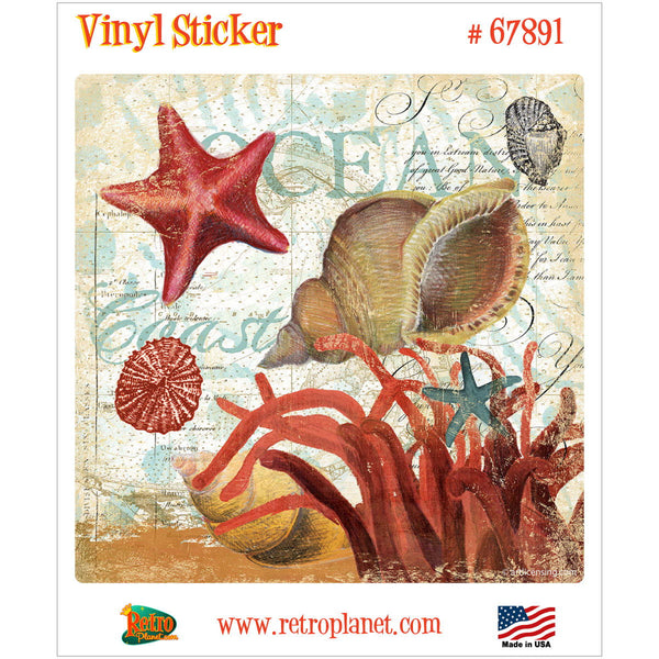Shell Collector Ocean Collage Vinyl Sticker