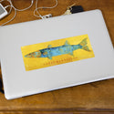 Great Barracuda Saltwater Fish Art Vinyl Sticker