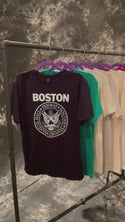 Boston Punk Rock Style T-Shirt, 100% Cotton, S-XXL, Unisex Tshirts