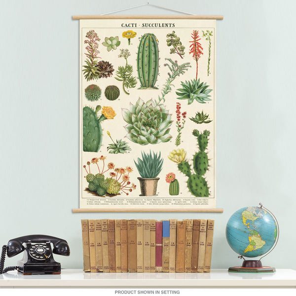 Cactus and Succulents Vintage Style Poster