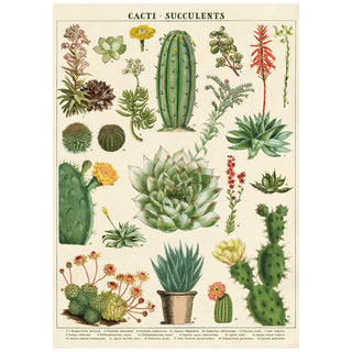 Cactus and Succulents Vintage Style Poster