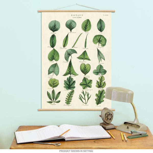 Botany Plant Leaves Vintage Style Poster