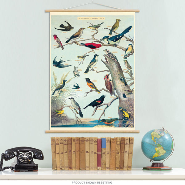 Audubon Bird Chart Vintage Style Poster