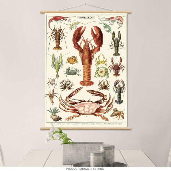 Crustaceans Lobster Crabs Chart Vintage Style Poster
