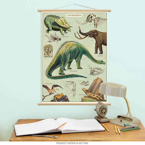 DINOSAURS CARNIVORES POSTER (61x91cm) EDUCATIONAL PICTURE PRINT