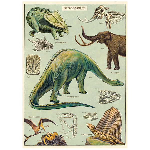 Dinosaurs Species Chart Vintage Style Poster