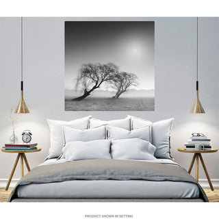 Desert Trees Reverencia Silhouette Wall Decal