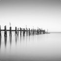 China Camp CA Pier Ocean BW 2 of 3 Wall Decal