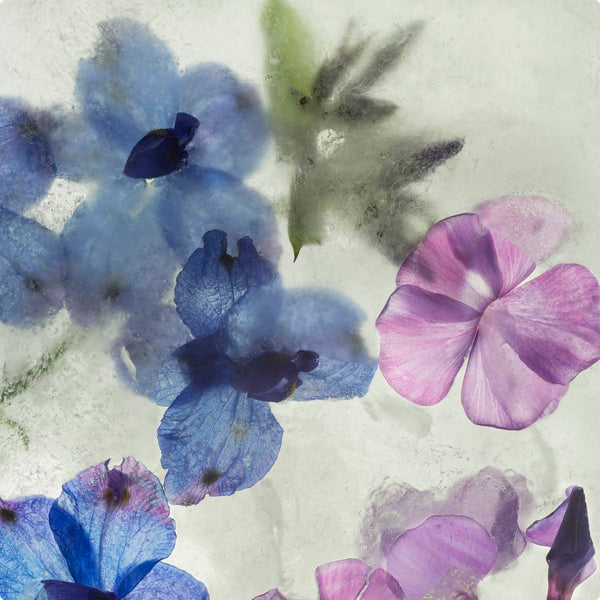 Frozen Flowers Purple & Blue Wall Decal