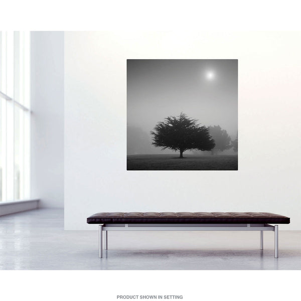 Morning Mist Tree Landscape Wall Decal