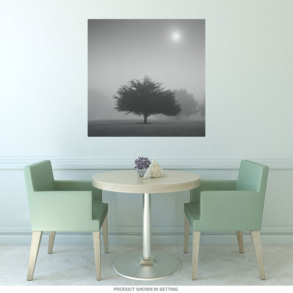 Morning Mist Tree Landscape Wall Decal