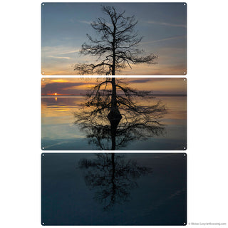 Tall Tree in Water at Sunset Large Metal Signs