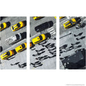 Shadows in NY Yellow Taxi Cabs Large Metal Signs