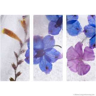Phlox Blue Purple Flowers Triptych Metal Wall Art