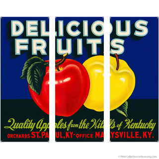 Delicious Fruits Kentucky Apples Large Metal Signs