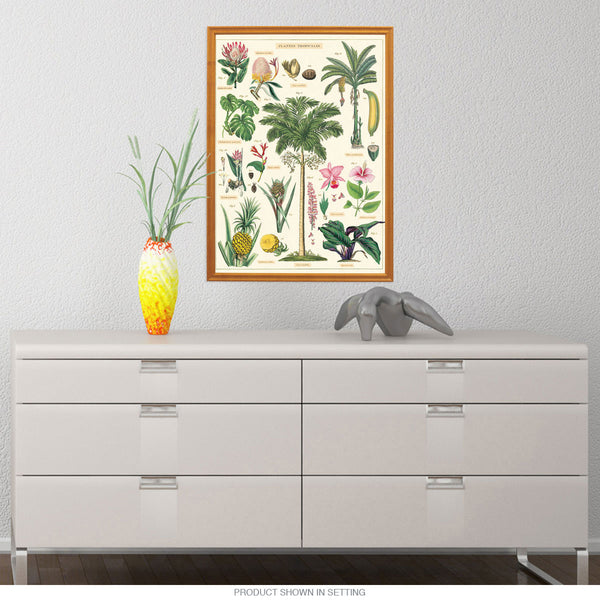 Tropical Plant Species French Chart Vintage Style Poster