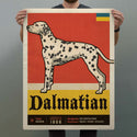 Dalmatian Dog Facts Decal