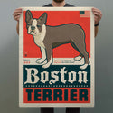 Boston Terrier Facts Decal