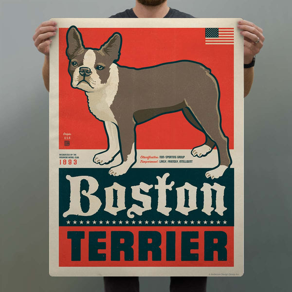 Boston Terrier Facts Decal