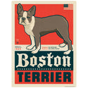 Boston Terrier Facts Decal