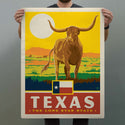 Texas Lone Star State Longhorn Decal