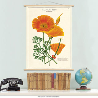 California Poppy Vintage Style Poster