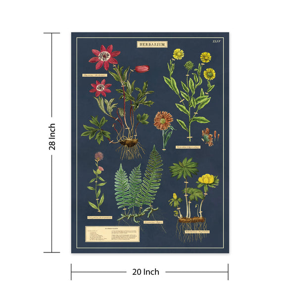 Herbarium Vintage Style Poster
