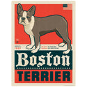 Boston Terrier Facts Vinyl Sticker