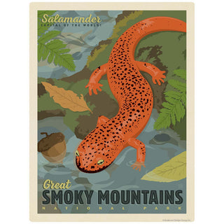 Red Salamander Vinyl Sticker Smoky Mtns National Park