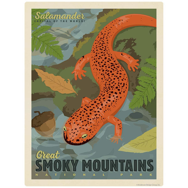 Red Salamander Vinyl Sticker Smoky Mtns National Park