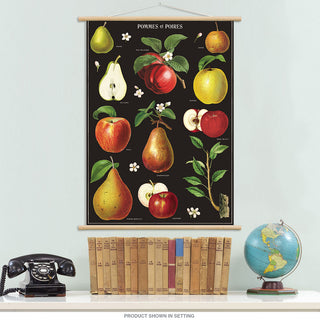 Apples and Pears Vintage Style Poster