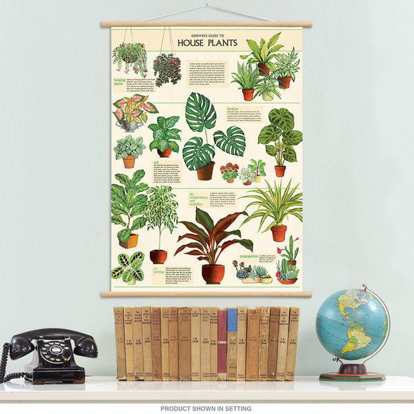 House Plants Vintage Style Poster