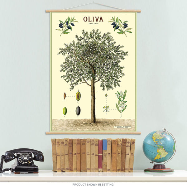 Olive Tree Vintage Style Poster