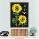 Sunflower Vintage Style Poster