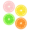 Fruit Slices Vinyl Sticker Set of 4