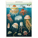 Jellyfish Oceanography Vintage Style Poster