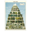 Flora Plant Chart Vintage Style Poster