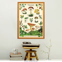 Foraging Plants and Mushrooms Vintage Style Poster