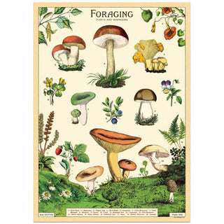 Foraging Plants and Mushrooms Vintage Style Poster