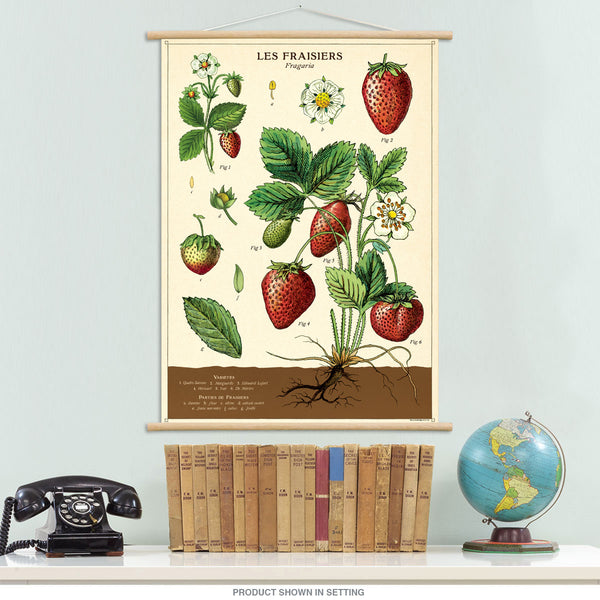 Strawberries French Vintage Style Poster