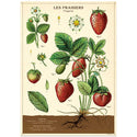 Strawberries French Vintage Style Poster