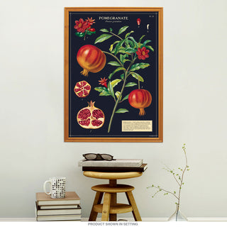 Pomegranate Vintage Style Poster