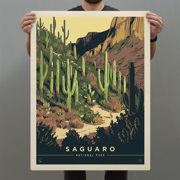 Saguaro National Park Arizona Cacti Decal