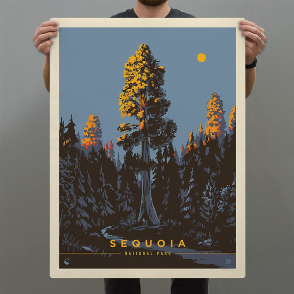 Sequoia National Park California Trees Decal